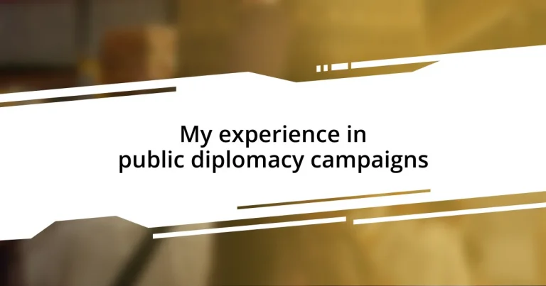 My experience in public diplomacy campaigns